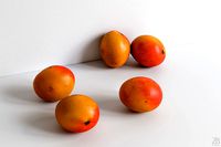 Mango 007