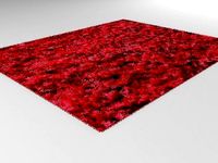 Shag rug