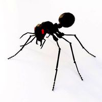 Ant 3d model