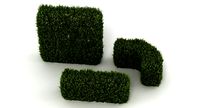 Hedge