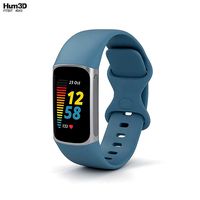 Fitbit Charge 5 Steel Blue
