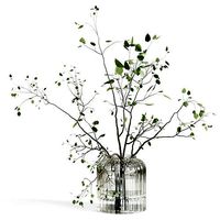 Branches plant with galss vase white bouquet 22