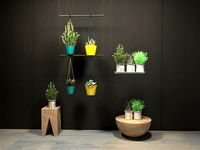 Home Plants In Orla Kiely Striped Petal Pots
