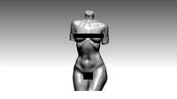 Figure wooman torso