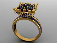 FSEN RING