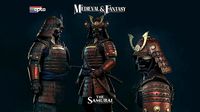 The Samurai