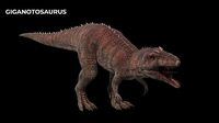Giganotosaurus Dinosaur