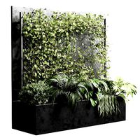 Ivy on Fence fitowall  vertical garden box 01