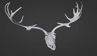 FILIGREE DEER OR ELK SKULL WITH HORN | 3D