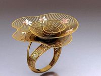 Nokta Ring | 3D