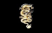 dragon pendant | 3D