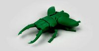 Beetle | 3D