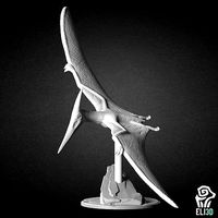 Pterandon - Dinosaur Model for 3D-Printing | 3D