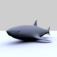 shark