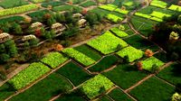 farmland