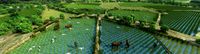 farmland