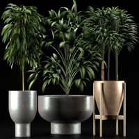 plants collection 11