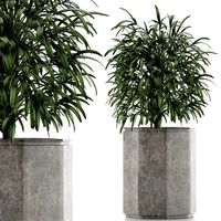 single plant 04