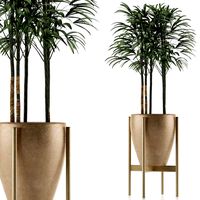 single plant 10