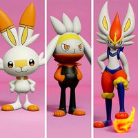 pokemon scorbunny evolution pack | 3D