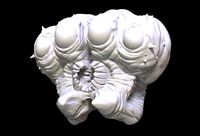 Grub Head Sculpt | 3D