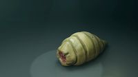 worm alien