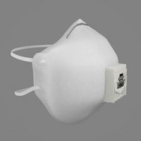 protective mask