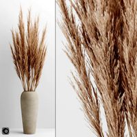 a bunch of pampas 4