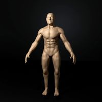 full human body