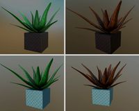 flowers with 4 different textures variation