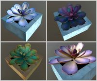 flowers with 4 different textures variation