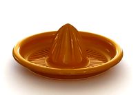 citrus juicer