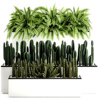 decorative plants for the interior in a white flowerpot 581