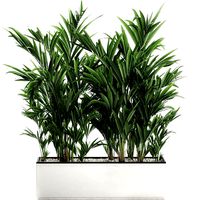decorative palm in a white flowerpot 573