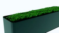 grass