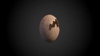 broken dinosaur egg