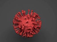 covid-19 corona virus- virus