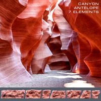 canyon antilope
