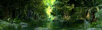 wetlands