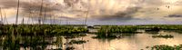 wetlands