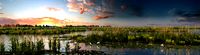 wetlands