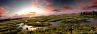 wetlands