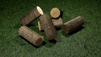 3D Realistic Woods