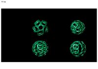 Balls Para beed beads | 3D