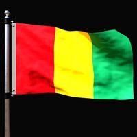 Flag of guinea