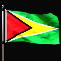 Flag of guyana