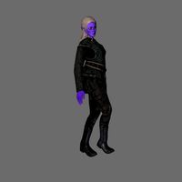 animated elf woman-rigged 3d game character