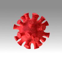 corona virus