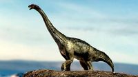brontosaurus 3d rigged model