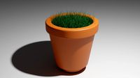 grass in a pot